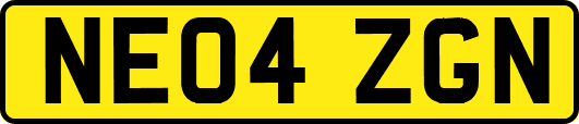 NE04ZGN