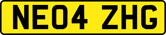 NE04ZHG