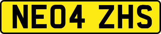 NE04ZHS
