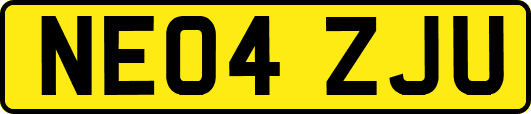 NE04ZJU