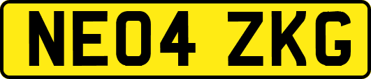 NE04ZKG