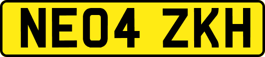 NE04ZKH