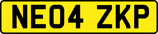 NE04ZKP