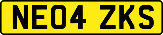 NE04ZKS