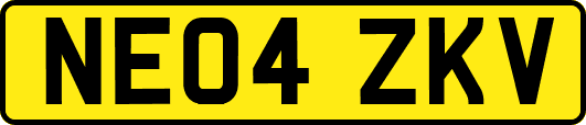 NE04ZKV