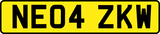 NE04ZKW