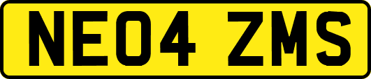 NE04ZMS
