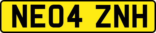 NE04ZNH