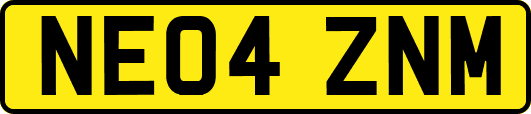 NE04ZNM