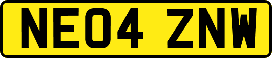 NE04ZNW