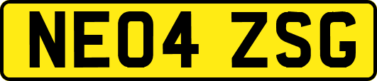 NE04ZSG