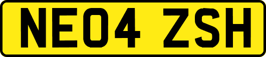 NE04ZSH