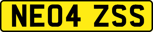 NE04ZSS