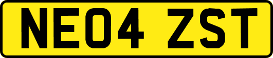 NE04ZST