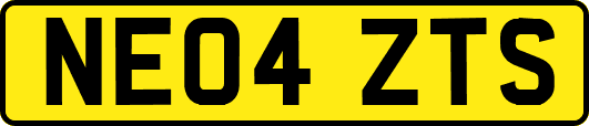NE04ZTS