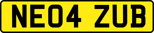 NE04ZUB