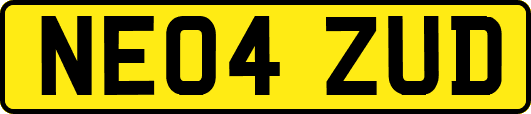 NE04ZUD