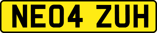 NE04ZUH