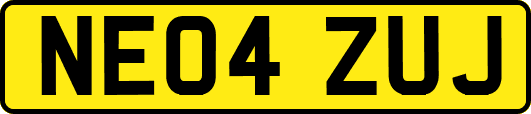NE04ZUJ