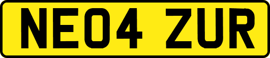 NE04ZUR