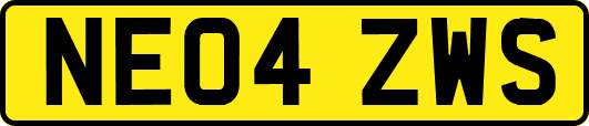 NE04ZWS