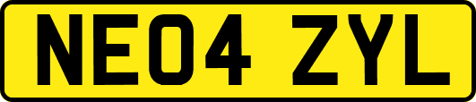 NE04ZYL