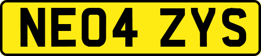 NE04ZYS