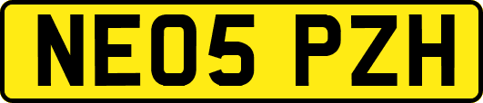 NE05PZH