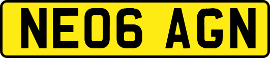 NE06AGN