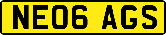 NE06AGS