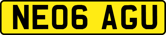 NE06AGU