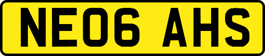 NE06AHS
