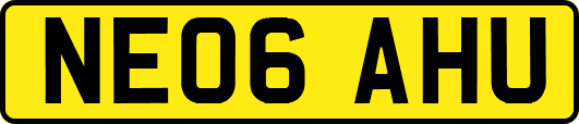 NE06AHU