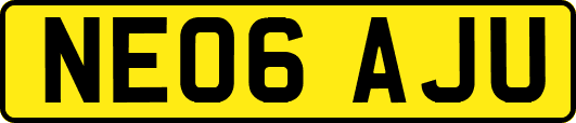NE06AJU