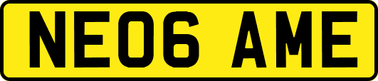 NE06AME