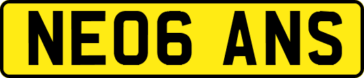 NE06ANS