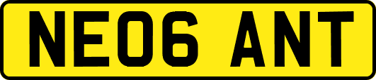 NE06ANT