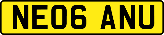 NE06ANU