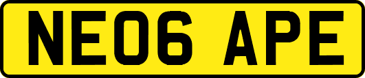 NE06APE