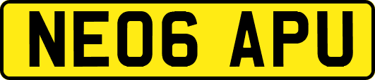 NE06APU