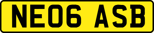 NE06ASB
