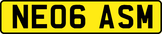 NE06ASM