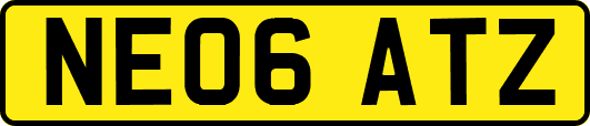 NE06ATZ