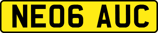 NE06AUC