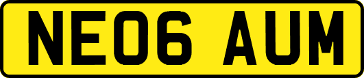 NE06AUM