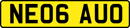 NE06AUO