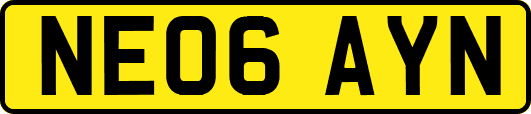 NE06AYN