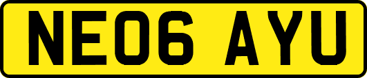 NE06AYU