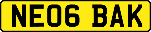 NE06BAK