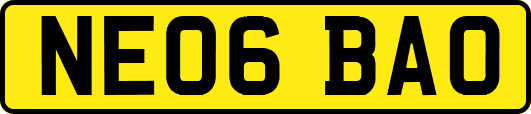 NE06BAO